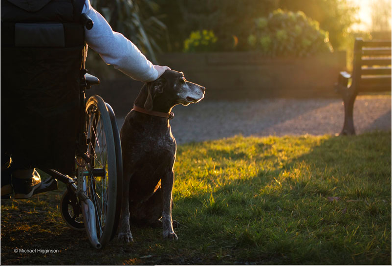 Screen Shot 2016-06-29 at 20.29.40