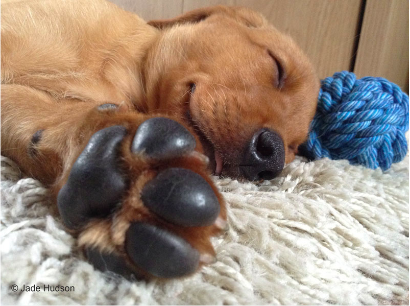 Screen Shot 2016-06-29 at 20.36.32