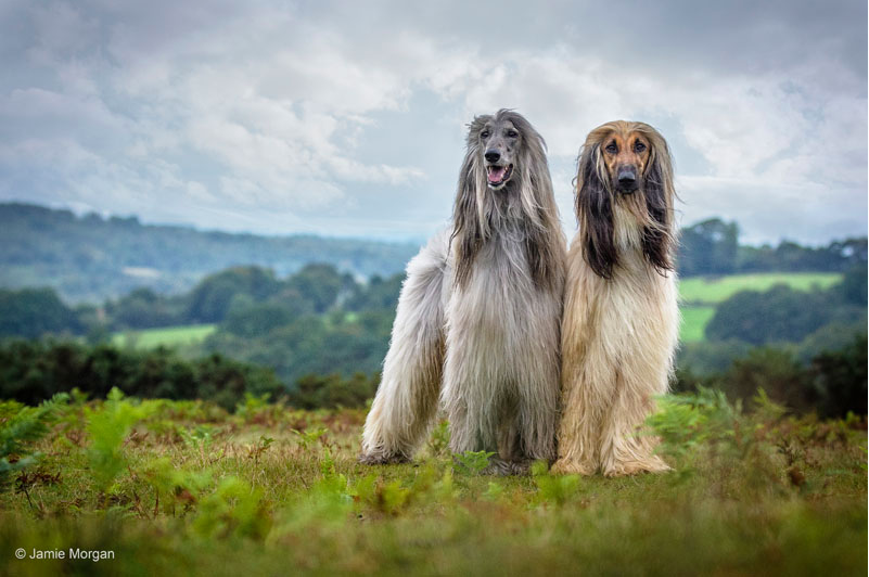 Screen Shot 2016-06-29 at 20.39.50