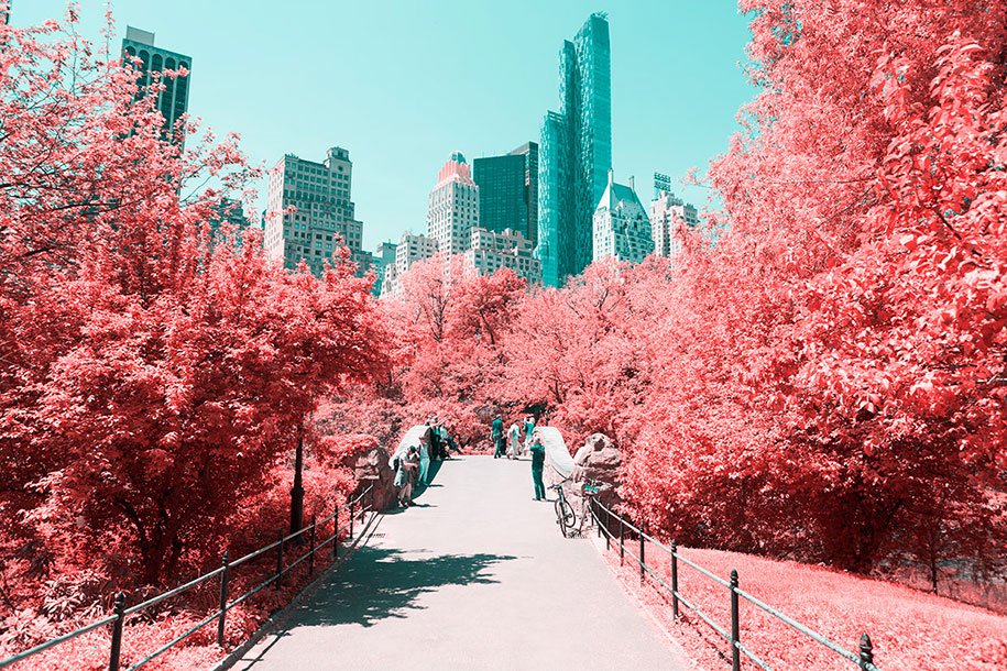 Fotografo cria fotos do Central Park, em NY, com luz infravermelha e deixa todo o mundo impressionado