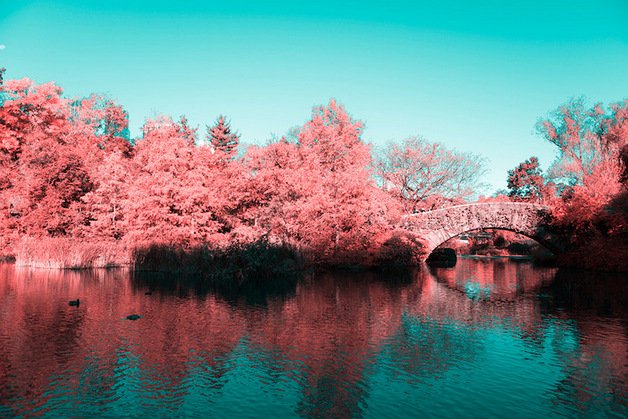 Fotografo cria fotos do Central Park, em NY, com luz infravermelha e deixa todo o mundo impressionado