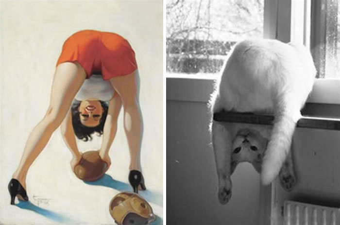 Mulher posta fotos de gatos imitando modelos e cria repercussão nas redes sociais
