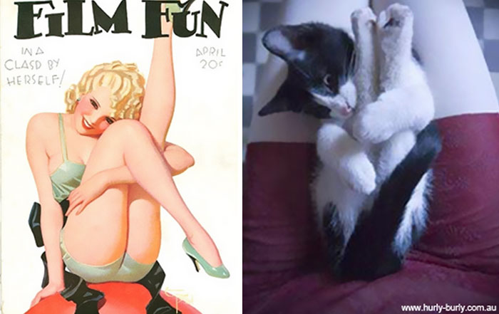 Mulher posta fotos de gatos imitando modelos e cria repercussão nas redes sociais